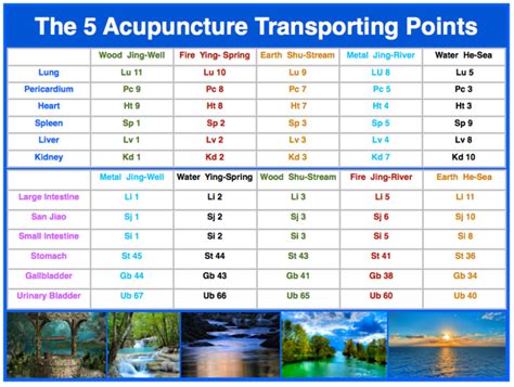 5 shu points chart.